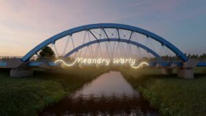 Meandry Warty