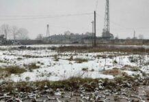 400 ton odpadów wróciło do Niemiec. Leżały w Polsce przez 4 lata…