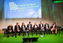 O biomasie w Graz: czy pomogliśmy Putinowi wywołać kryzys energetyczny? Konferencja w Graz