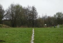 5,5 mln zł na wykup zielonych terenów w Krakowie