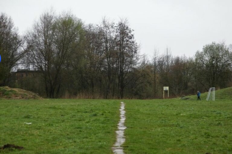 5,5 mln zł na wykup zielonych terenów w Krakowie