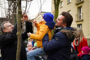 Prawie 6 mln zł i dziesiątki tysięcy roślin w zielonych Katowicach