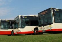 Bezpłatna komunikacja miejska w Tczewie Autobusy w Tczewie