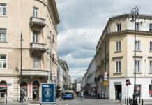 Protest warszawskich społeczników przeciwko nasadzeniom drzew