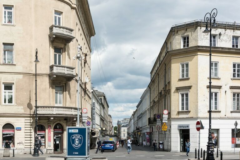 Protest warszawskich społeczników przeciwko nasadzeniom drzew