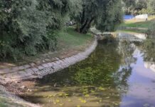 Zielona strona Warszawy