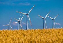 NIK: w latach 2022-2024 r. MKiŚ nie zapewniło warunków do szybkiego rozwoju energetyki wiatrowej Wiatraki