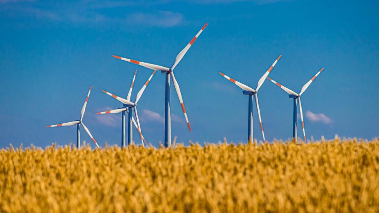 NIK: w latach 2022-2024 r. MKiŚ nie zapewniło warunków do szybkiego rozwoju energetyki wiatrowej