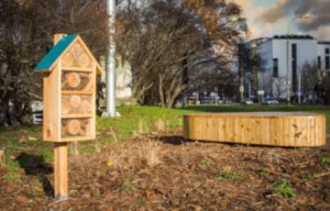 Warszawa. Nowy park kieszonkowy na Pradze