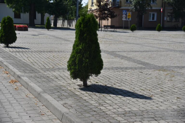 Warszawa. Spór pomiędzy społecznikami o zieleń przy zabytkach