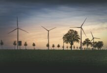 81% Polaków popiera budowę elektrowni wiatrowych elektrownia wiatrowa