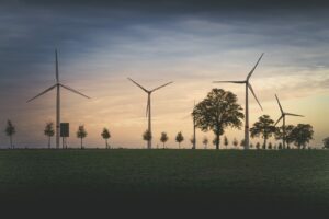 81% Polaków popiera budowę elektrowni wiatrowych