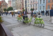 W Gdańsku padł rekord natężenia ruchu rowerowego