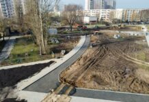 Szczecińskie Psie Pole w zielonej odsłonie