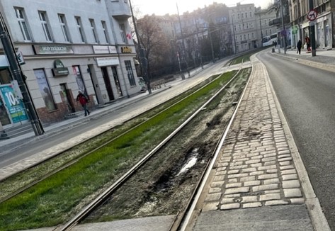 Kierowcy niszczą zielone torowisko. Poznańskie Inwestycje Miejskie mają na to sposób