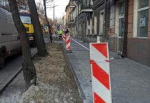 Lublin. Będzie więcej zieleni