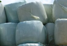 Rolnicy apelują o większe dofinansowanie usuwania odpadów agro – plastiku Baloty
