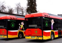 Bolek i Lolek poprowadzą Bielsko – Białą w stronę elektromobilności Autobusy Bolek i Lolek