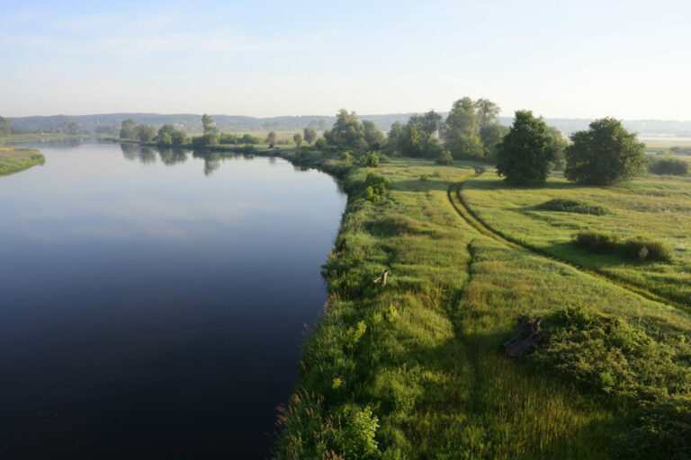 Resort klimatu o raporcie NIK dot. Odry: minister zapewniła realizację zadań dot. zagrożeń związanych z jakością wód