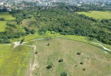 Lublin. Radni zgodzili się na budowę bloków na Górkach Czechowskich
