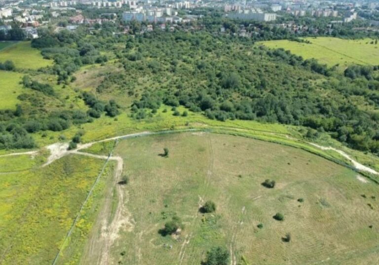 Lublin. Radni zgodzili się na budowę bloków na Górkach Czechowskich
