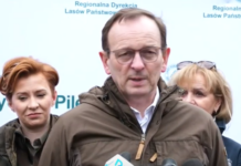 500 milionów drzew w skali roku