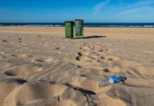 Plastik wypełnia żołądki zwierząt. “Plastikoza” często prowadzi do śmierci Plastik