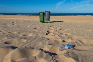Plastik wypełnia żołądki zwierząt. 