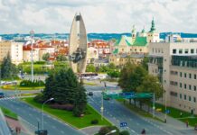 500 nowych drzew w Rzeszowie
