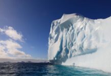 Oceanolog: mamy wybór, czy z naszą planetą będzie źle, czy tragicznie