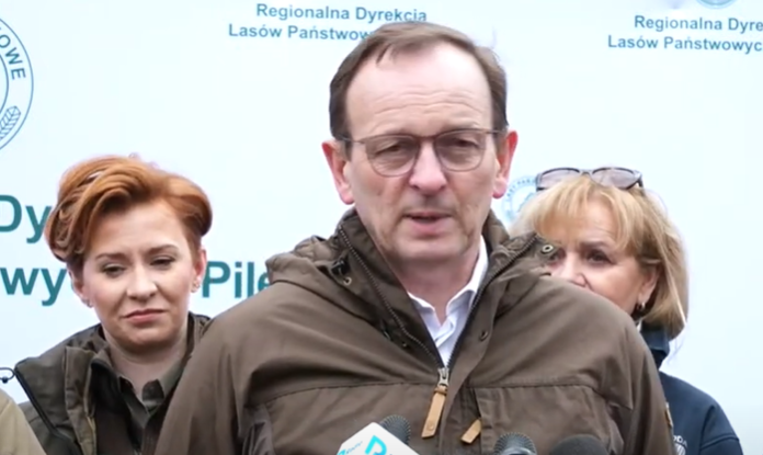 500 milionów drzew w skali roku
