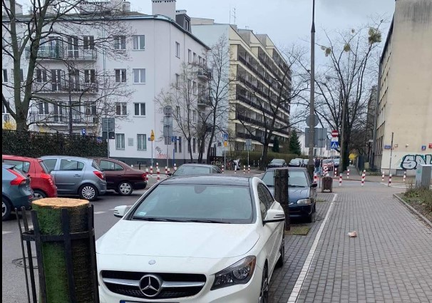 Wycinka drzew na warszawskim Mokotowie