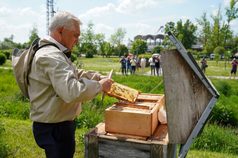 Białystok. Pierwsze tegoroczne miodobranie w pasiece miejskiej