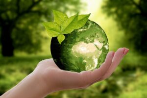 Ekologiczne szamba: Ochrona środowiska i efektywność gospodarki wodno-ściekowej