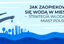 Jak zaopiekować się wodą w mieście – strategia włodarzy polskich miast