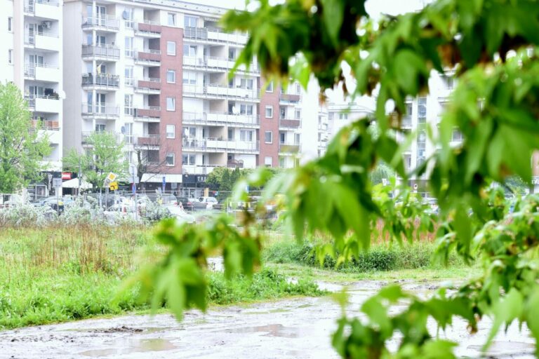Na poznańskiej Łacinie powstanie nowy park