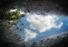Szczeciński ZWiK prosi o zgłaszanie niedrożnych wpustów