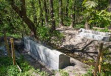Katowice. Rewitalizacja Doliny Ślepiotki – powstaje nowy park
