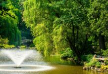 Na osiedlu Zalesie ma powstać park dendrologiczny