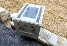 Jak ratować drzewa w mieście? Wiedeń wdraża innowacyjny system nawadniania