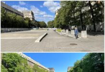 Aleja Róż na nowo. Tak Kraków walczy z betonozą