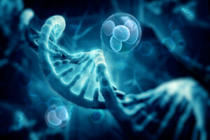 Dzięki badaniom DNA ustalono tożsamość kobiety, której zwłoki znaleziono na wysypisku