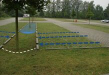 Zmiany klimatu a zielone parkingi