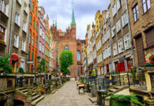 Gdańsk. Radni apelują o większą dbałość o zieleń w przestrzeni miejskiej