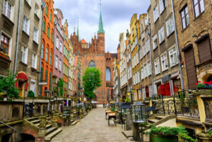 Gdańsk. Radni apelują o większą dbałość o zieleń w przestrzeni miejskiej
