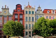 Powstaje Gdańska Karta dla Drzew