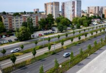 Szczecińskie standardy zieleni