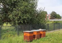 Ule w Krośnie
