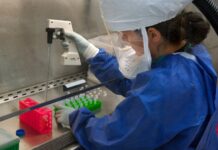 Legionella w Rzeszowie i dezynfekcja sieci wodociągowej