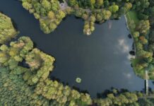 Sosnowiec rozpoczął remont parku przy Bulwarach Czarnej Przemszy sosnowiec